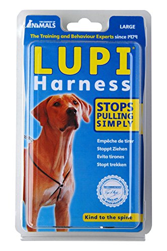 LUPI HARNESS BLACK Large