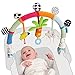 Taf Toys Rainbow Pram Arch