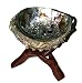 Produktbild Small SET: Abalone Shell 10-12 cm (4-5-Inch), natürlich, schillernd und spirituell & kleiner passender Tripod Cobra aus einem Holz geschnitzt