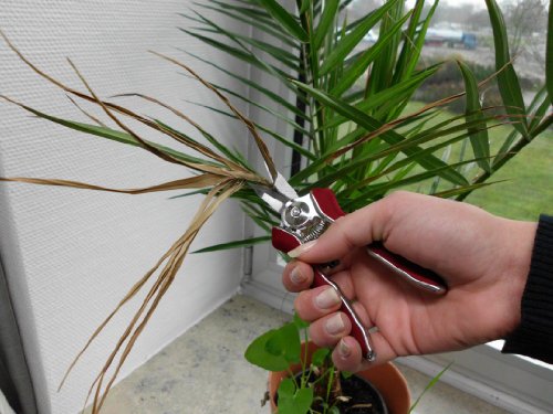 Connex Mini-Trimmerschere, FLOR70368 - 3