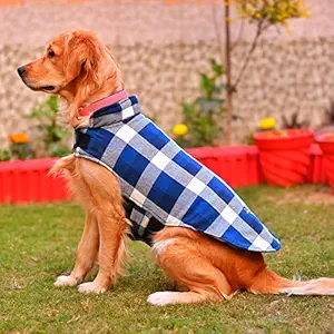 Goofy Tails Reversible Winter Jacket for Dogs and Puppies (24 Inch)