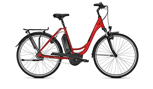 raleigh e bike jersey