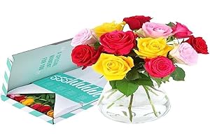 BloomPost Roses mélangées - Cadeau boîte aux lettres - Fleurs fraîches livrées - Bouquet parfait pour les anniversaires et les cadeaux de remerciement - Livraison gratuite