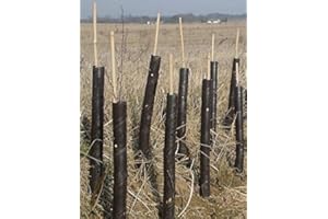 Elixir Gardens Spiral Tree Guards 2ft/24 Professional Rabbit/Pest, Sapling & Shrub Protector x 30