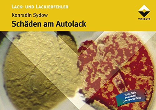 Preisvergleich Produktbild Schäden am Autolack (besser lackieren!)
