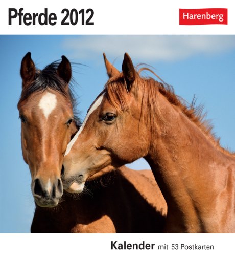 Pferde 2012: 53 Postkarten