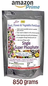 TSR Organic Fertilisers & Pesticides Single Phosphate P Available 16 %, WS 14.5 %, Sulphate Sulphur 11 % Multipurpose Fertilizer (850 g)