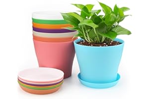 ‎KINGLAKE KINGLAKE Pack of 8 Colourful Small 10 cm Flower Pots, Round Plastic Indoor Plant Pots, Mini Flower Pots for Office, Balcony Railing, 8 Colours