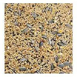 HANU Bajri Bird Food 2KG | Mix Seed for Budgies, Love Birds, Cocktails and Finches, Small Birds 06