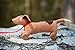 Ragtales Wooster Pull Along Dog