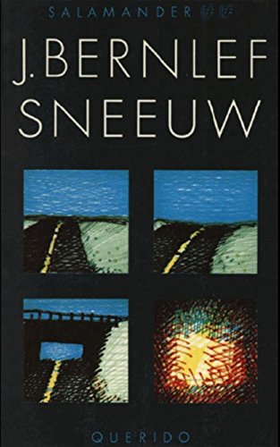 Ebook Sneeuw