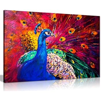 Coloured Peacock Canvas Wall Art Picture Print (24x16): Amazon.co.uk