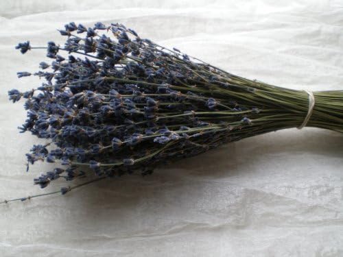 Dark blue lavender bunch