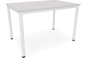 Dila GmbH Schreibtisch/Besprechungstisch in verschiedenen Größen und Farben weißes Metallgestell Konferenztisch Arbeitstisch (B: 120 cm x T: 80 cm, Lichtgrau)