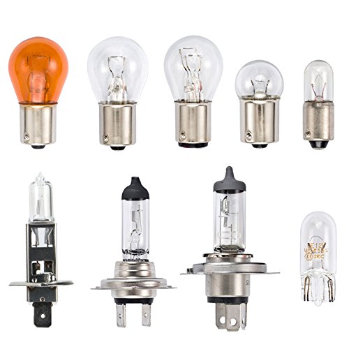 150 pcs 12 Volt Assorted Car Bulb Garage Pack