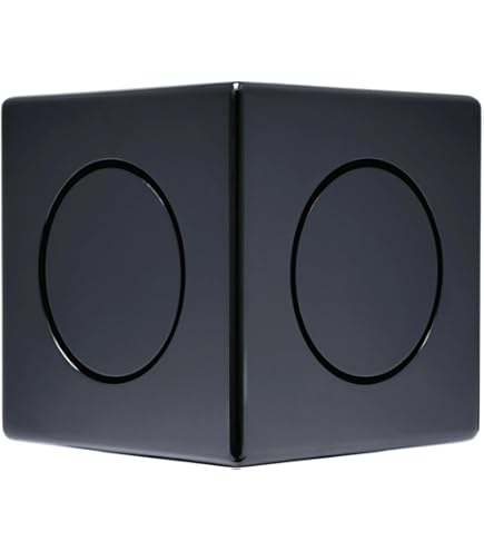 Earthquake - MINIME-DSP-P8B - Powered Subwoofer-Piano Gloss Black