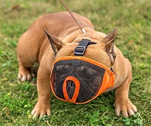 Pets Empire Short Snout Dog Muzzle- Adjustable Breathable Mesh Bulldog Muzzle for Biting Chewing Barking Training Dog Mask (11