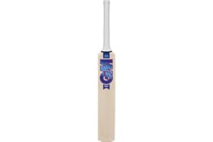 Gunn & Moore GM, Miniature Wooden Souvenir Mini Cricket Bat, Player Autographs, 17 Inches