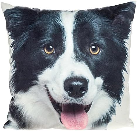 Visage Cushoin Mini Collie