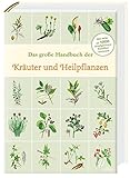 Das große Handbuch der Kräuter und Heilpflanzen by Hans W. Kothe