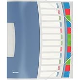 Esselte Vivida 624030 &ndash; A4 Folder, Translucent, Integrated Index with 12 Compartments, Closure with Elastic Band, Flexible Pl