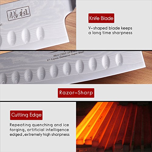 Küchenmesser Professionelle Damastmesser 67 Schichten VG 10 Core mit Pakka Holzgriff - 4
