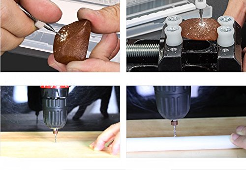 Haimoburg 20 Stück Set PCB Micro Spiralbohrer Metallbohrer Satz Dick Griff Wolframstahl Carbide Fräser Dremel Stich- Bohrer -Set 0.1 mm -1 mm und 0,3 mm – 1,2 mm in Protection Box - 5