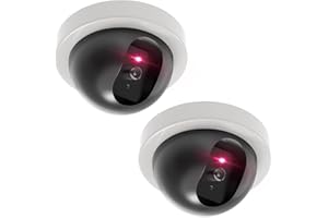 WALI Dummy Camera, Dome Fake Security CCTV Camera with Flashing Red LED Light, Simulated Surveillance Cameras with Security Alert Sticker Decals (SDW-2), 2 Packs, White
