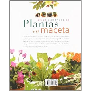 Atlas ilustrado de plantas en maceta