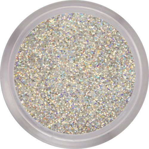 nail perfection 3.5g STARDUST acrylic nails powder (Holographic silver glitter)