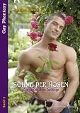 Image de Söhne der Rose II: Die rätselhaften Zwillinge