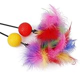 Gazechimp Bunte Feder Katze Stab Federstab Haustier Katzenspielzeug Mit Laterne , 60cm ( Zufällige Farbe )