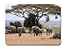 Produktbild BGLKCS Elephants herd under a tree Animal - #51027 - Mauspads Customized Rectangle Non-Slip Rubber Mousepad Gaming Mauspads 8.6x7.1 Inches