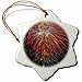 Produktbild 3dRose Juli USA Colorado Frisco, Dillon, Feuerwerk-, Schneeflocken-Motiv, Mehrfarbig, 7,6 cm,