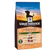 Hill`s Ideal Balance Canine Adult Large Breed 12 kg, 1er Pack (1 x 12 kg)