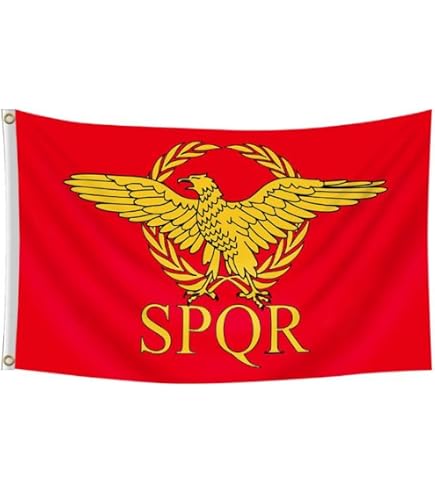 AZ FLAG Bandiera Stemma Napoleone III – Secondo Impero Francese – 90x90 Cm – Poliestere 100D, Con Foro Per Asta, Per Interni/Esterni - 3