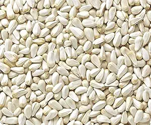 Kusum Seeds for Birds 1.5 KG - Safflower Seeds - Kusum Beej - Saffola Seeds - Kardi Seed Bird Food