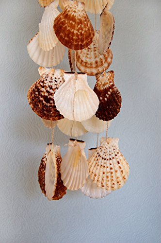 Tiger Kamm-Muscheln, 55 cm lang, Windspiel, Mobile (23130) - 2