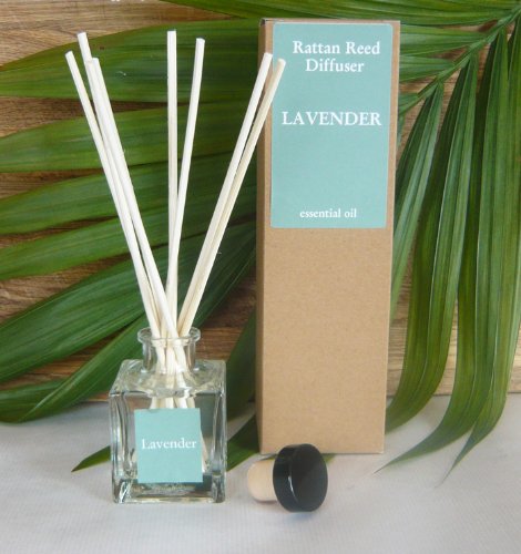 Preisvergleich Produktbild Raumbedufter Diffusor LAVENDEL 100 ml mit ätherischen Ölen