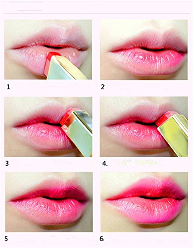 VWH Doppelfarben langlebige Matte Lipgloss Lippenstift Kosmetik - 3