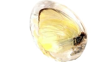 FUNRELAXER Bernstein Fossil mit Insekten Proben Steine Kristall Exemplare Insekten Exemplar Bernstein Anhänger DIY Schmuck Anhänger