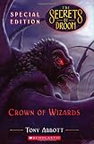 Cover zum Buch Crown of Wizards