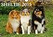 Sheltie 2015 (Wandkalender 2015 DIN A4 quer): 13 wunderschöne Fotos von Shelties in allen Farben begleiten durch das Jahr (Monatskalender, 14 Seiten) by 