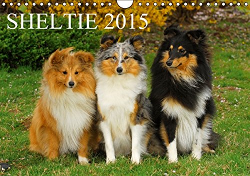 Sheltie 2015 (Wandkalender 2015 DIN A4 quer): 13 wunderschöne Fotos von Shelties in allen Farben begleiten durch das Jahr (Monatskalender, 14 Seiten)