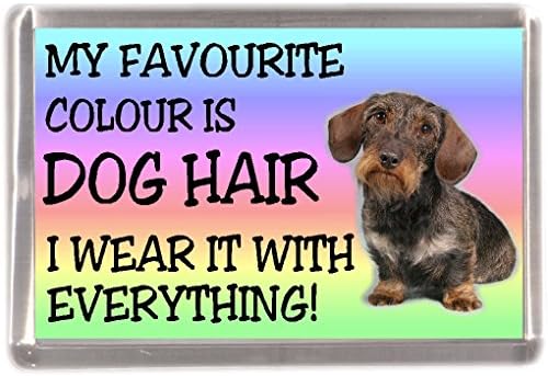 Dachshund Wire Haired Dog Fridge Magnet "My Favourite Colour is Dog Hair I WEAR IT with Everything" Novelty Gift Present