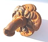 Wasserauslauf Blume Auslauf Wasserspeier Speier für Brunnen...