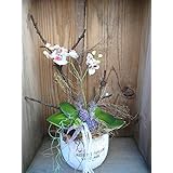 Gesteck mit Orchideenrispe