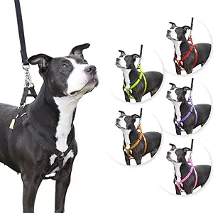 Hurry Pet Adjustable Soft Padding Nylon No Pull Dog Harness with Long Leash for Dogs Training