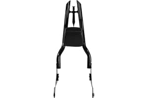 FJPACEMT H Sissy Bar, Detachable Passenger Backrest Rear Pad Compatible for Harley Davidson Touring