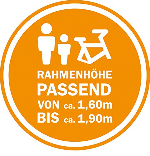 REX Alu-MTB BERGSTEIGER 7.2 - 5